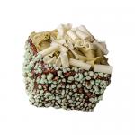 Image shows six square Sicilian pistachio quadrotto pastries neatly arranged in a clear tray within a modern cream-and-green box. Each piece displays pale green pistachio cream and chopped nuts; minimal branding and soft lighting emphasize texture and color.