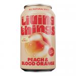 A 12-pack of slim 330ml Living Things cans sits in a substantial rectangular carrier. Each metallic can displays illustrated peach and blood-orange fruit, warm peach-to-orange gradients, a prominent Living Things logo, subtle functional icons, and clean modern type. Two neat rows of six are visible.