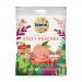 Bright, compact 75g pouches labeled 'Biona Organic Fizzy Peaches' sit on a white surface. Each pouch shows stylized peach illustrations, sugar-dusted peach-colored gummy slices visible through a small window, fizz-effect graphics and green organic branding accents.
