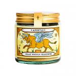 A clear plastic jar of Apostle Chaat Masala shows a colorful spice mix inside. The label displays the Apostle logo with red and yellow accents and bold product name. A green screw-top lid crowns the jar against a white background.