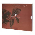 A stacked set of six Tetrim Teas boxes sits on a neutral surface. Each slender box shows Rhubarb Root Evening Tea in elegant typography, pink and cream botanical illustrations of rhubarb stalks, and a minimal label. Soft shadows fall on a clean background.