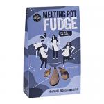 An elegant gift box labeled Melting Pot Fudge Salted Caramel Fudge displays eight individually wrapped squares in two neat rows. Each caramel-topped piece shows a glossy, swirled surface, pale-brown interior and scattered salt crystals, set against cream and gold packaging. with a neat satin ribbon.
