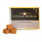 A compact rectangular box of Booja-Booja Fine De Champagne truffles sits on a neutral background. Matte brown packaging bears gold lettering and an elegant logo. A clear window shows eight round, cocoa-dusted truffles nestled in a neat paper tray. Soft shadows accentuate textures, scene remains calm