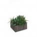 Flux modular storage single wooden planter box with plants - grey oak FL-PLP1-GO