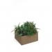 Flux modular storage single wooden planter box with plants - kendal oak FL-PLP1-KO