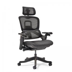Lyra is a fully ergonomic task chair with adjustable arms and