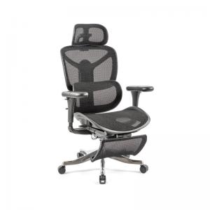 Poise mesh executive chair with headrest, footrest & adjustable
