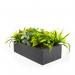 Pre set artificial plants for universal lockers - 800 wide WPLS-P