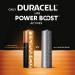 Duracell Plus AA Batteries with Power Boost (Pack of 24) 5019178 DU17895