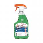 Mr Muscle Window and Glass Cleaner 750ml 316533 DV71814