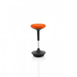 Dynamic Posture Accessories