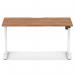 Air Lite 1400 x 800mm Scalloped Edge Height Adjustable Office Desk Walnut Top White Leg HA04034