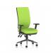 Chiro High Back With Height Adjustable Arms Bespoke Colour Back And Seat Myrrh Green KCUP0098