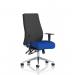 Onyx Ergo Posture Chair With Height Adjustable Arms Without Headrest Bespoke Colour Seat Stevia Blue KCUP0427