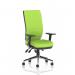Chiro High Back With Height Adjustable And Folding Arms Bespoke Colour Back And Seat Myrrh Green KCUP1955
