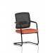 Flint Mesh Back Cantilever Chair Bespoke Colour Seat Quest Crab KCUP4513