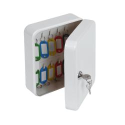 Phoenix 20 Hook Key Box KC0026K with Key Lock PX0003