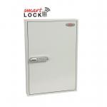 Phoenix Commercial Key Cabinet KC0603N 100 Hook with Net Code Electronic Lock. PX0056