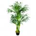 Amazon Areca Bamboo Palm SS0019