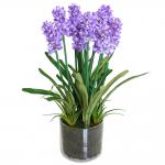Purple Lavender With Decorative Pot SS0020