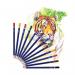 Swäsh Premium Colouring Pencils, 12 Assorted Colours, Pack of 144 PCP144