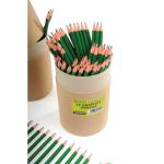 re:create Treesaver HB Pencils, Tube of 72 TREE72HBT