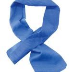 Ergodyne Chill-Its Cooling Towel Blue 10x75cm ERG12418