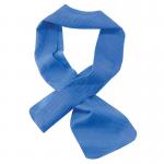 Ergodyne Chill-Its Cooling Towel Blue 10x75cm EY6603 ERG12418