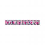 Eurowrap Happy Birthday Girl Foil Party Banner Pack of 6 6837-NHBGC EU11778