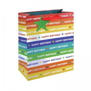Eurowrap Holographic Happy Birthday Gift Bag Large Rainbow Pack of 12