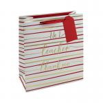 Eurowrap No1 Teacher Bag Medium Pack of 6 27165-3C EU54192