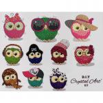Crystal Art Owl Life 21 x 27cm Sticker Set CAMK-2020SET2 10110CB