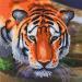 Crystal Art Tiger 18 x 18cm Card CCK-A40 10215CB