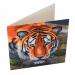 Crystal Art Tiger 18 x 18cm Card CCK-A40 10215CB