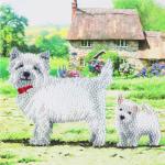 Crystal Art Westie 18 x 18cm Card CCK-A52 10243CB