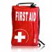 Blue Dot Motorist First Aid Kit Packed In Series Bag Red - 110263 11733WC