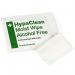 HypaClean Moist Wipes Alcohol Free (Pack 100) - D5218 13600FA