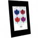 Photo Album Co CertificatePhoto Frameless A4 Clip Frame Acrylic Non-Glass Sheet Front - CF2130-NG 15943PA