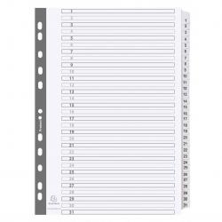 Exacompta Numbered Dividers
