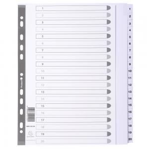 Image of Exacompta Index 1-20 A4 Extra Wide 160gsm Card White with White Mylar