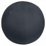 Leitz Active Sit Ball 65cm Anti-Roll-Away Dark Grey - 65420089 22903AC