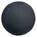 Leitz Active Sit Ball 75cm Anti-Roll-Away Dark Grey - 65430089 22910AC