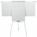 Nobo Classic Nano Clean Tripod Flipchart Easel Magnetic with Extension Arms Magnetic 685x1000mm Silver 1901918 25736AC