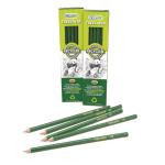 Re:create Treesaver Recycled HB Pencils (Box 12) - TREE12HB 26949EA
