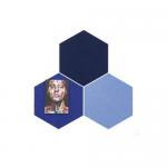 MagiShape Small Hexagon Light Grey Noticeboard 500x430mm (Pack 3) 32390MA