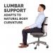 Fellowes PlushTouch Lumbar Back Support 8026501 36628FE