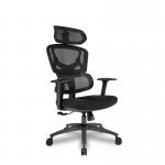 Nautilus Designs Trinity High Back Ergonomic Mesh Executive Office Chair With Lumbar Support Adjustable Headrest and Arms Black - BCMK470BK 40704NA