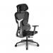 Nautilus Designs Trinity High Back Ergonomic Mesh Executive Office Chair With Lumbar Support Adjustable Headrest and Arms Black - BCMK470BK 40704NA