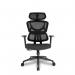 Nautilus Designs Trinity High Back Ergonomic Mesh Executive Office Chair With Lumbar Support Adjustable Headrest and Arms Black - BCMK470BK 40704NA