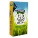 Caterpack Enviro Paper Straws Black (Pack 150) - 10566 45067RY
